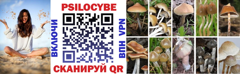 Псилоцибиновые грибы мухоморы  закладка  Гагарин 